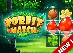 Forest Match - Play for free - Online Games
