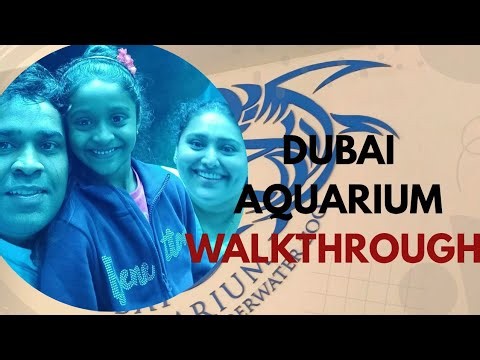 Inside Dubai's Massive Aquarium! Walking Tour & Underwater Zoo Experience #travel