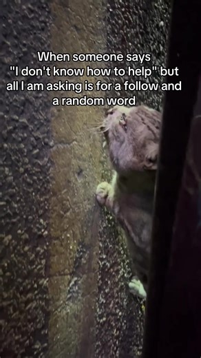 Understanding Shoulder Anastomosis Healing Times