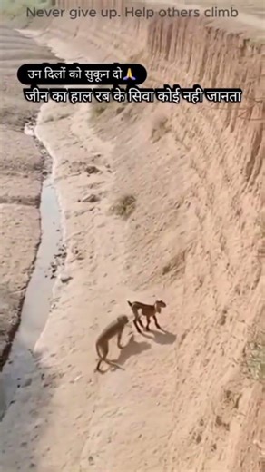 Help me😔 #song #youtube #trending #YouTube shorts