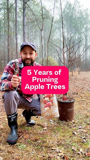 1.2M views · 30K reactions | Check link in bio for a winter pruning...