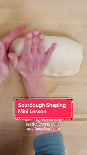 Sourdough Bread Shaping Made Easy for Beginners