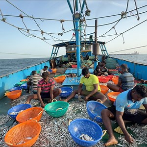 8.2M views · 113K reactions | Epic Fisherman Journey  Trawlnet in Action! #cooking #oceanlife #IOF #fishing #indianoceanfisherman | இந்திய பெருங்கடல் மீனவன் Indian Ocean Fisherman | Facebook