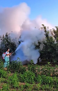 315K views · 2.5K reactions | Fogging machine for mist fog spray | Denraks Machinery | Facebook