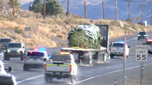 U.S. Capitol Christmas tree begins journey to Washington, D.C.