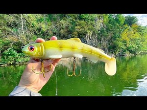 Fishing GIANT BAITS Down The River For Elusive Fish (MUSKY FISHING)