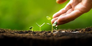 Invest where it matters to you