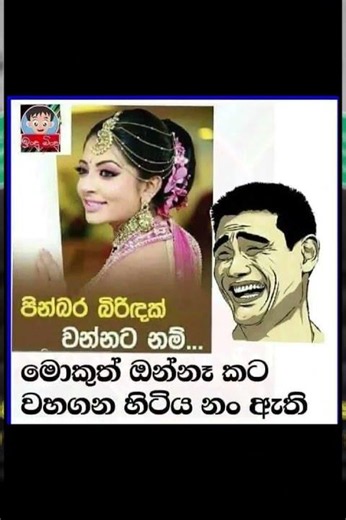 බුකියේ රස කතා අද 😂 | HC Fun Memes 🤣 #sinhala #shorts #memes Episode 2384 #athalmemes #shorts