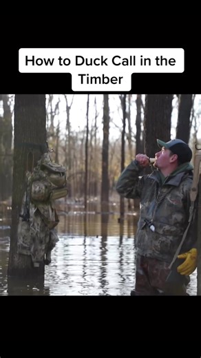 Effective Duck Calling Tactics for Timber Hunting