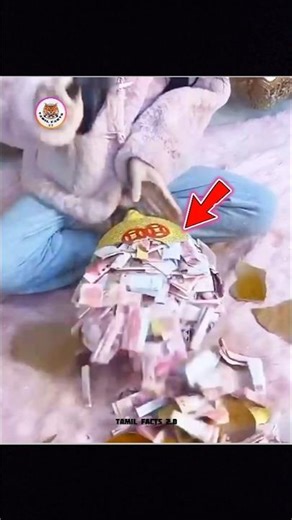 Top 3 Crazy Piggy Bank In The World