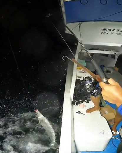 BARACUDA ATTACK - Thrilling Fishing Video
