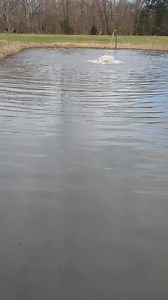 Update blue Marlins 🔥🔥🔥🔥 in the hole, stocking both big and little lake at Xtreme and lake 3 at cp2 ,tournament starts 9 in the morning Saturday, 1 pole limit, 50 dollars extra plenty of bait on hand be ready for a smoke show | Paradise Xtreme