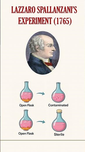 Lazzaro Spallanzani's Experiment (1765)