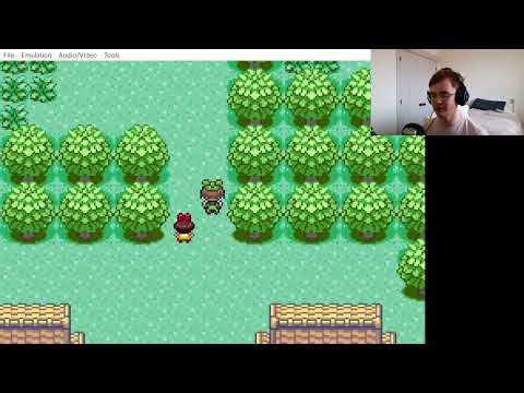 This is like no other Pokemon game I've played! - Pokemon: Too Many Types: Part 1