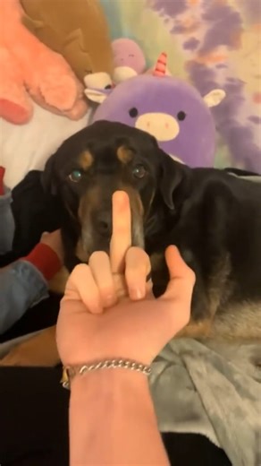 ElitePad on Instagram