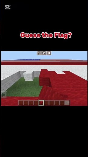 #minecraft #flag #quiz