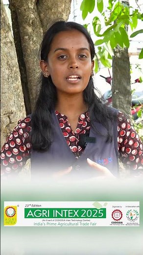 Broom Master – Automatic Stick Making Machine