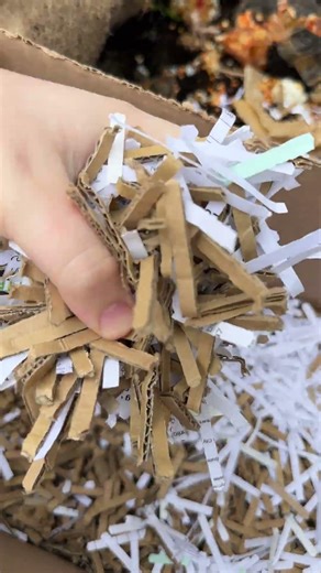 Shred paper and cardboard for compost!