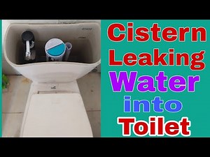 Cistern leaking water Into Toilet.
