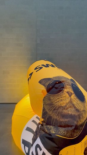 448 reactions · 32 shares | Die SWR1 Hitparade ist wieder da 朗 Jetzt abstimmen und Lieblingstitel im Radio hören  Abstimmungszeitraum vom 9. bis 19. September! | SWR | Facebook