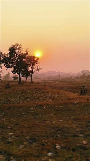 Cinematic View Nature #nature #villagerlifestyle #viralvideo #shortvideo
