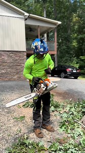 Felling an oak tree with my 500i #fyp #arborist #chainsawman #stihl #saw #skill #treework #work #tree #treefelling #500i #clim-000-000 | Daily Cut