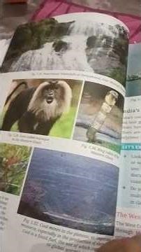 ek zindagi ❤️ class 7th new session 2026 book SST