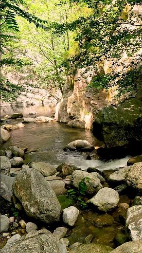 Bruit de la Nature, Musique relaxante, chant des oiseaux et eau qui coule pour la méditation