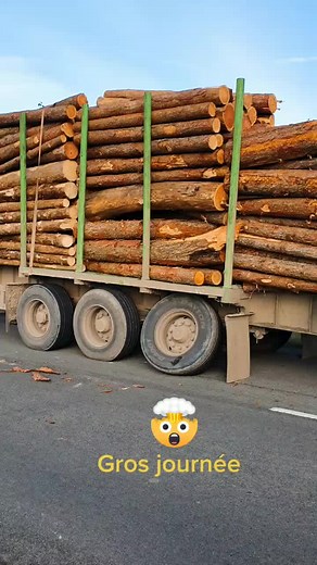 stephaneminet0 sur TikTok