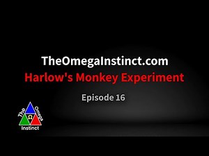 Harlow's Monkey Experiment