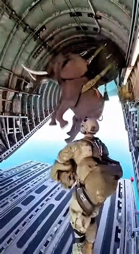 A Calm Moment Before the Jump