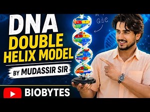 DNA double helix model # neet 2027 #12th Genetics