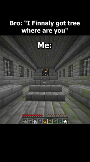 I Finnally Find the tree