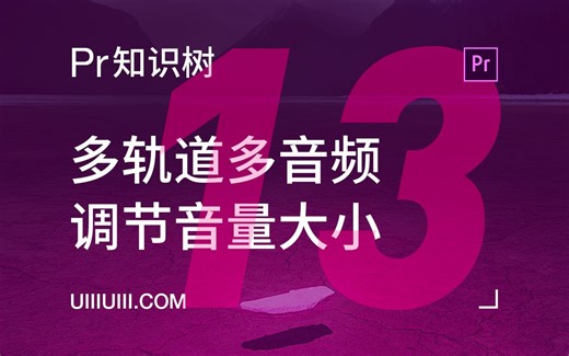 【Premiere知识树】NO. 13 多轨道多音频如何调节音量大小？（13/60）