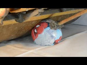 ROAD ROLLER VS BEACHBALL