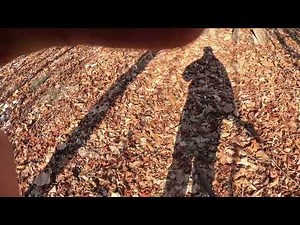 Flintlock Hunting in January