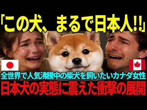 【海外の反応】「この犬、只者じゃない！」日本犬・柴犬が世界一！と外国人ファンが大絶賛の理由に世界中が驚愕