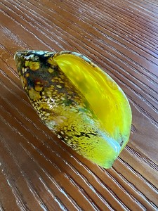 Art Glass Handmade Seashell - Etsy