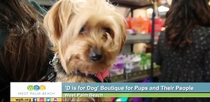 VIDEO: If you're looking for that special gift for the dog, or dog lover in your life, you might want to stop by 'D is for Dog' in downtown West Palm Beach. That's where you'll find a boutique filled with unique items, a place to get your pet professionally groomed, or to bathe him yourself. #dogs #WestPalmBeach | The City of West Palm Beach
