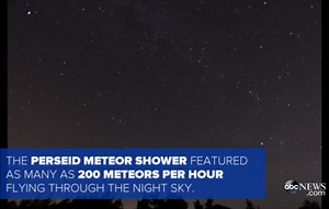 Perseid Meteor Shower Peak Creates Cosmic Display of Light Against Night Sky