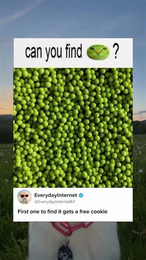 Find it. Win a cookie🍪