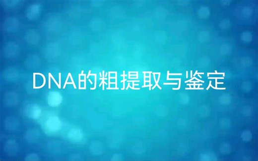 【高中生物学实验】DNA的粗提取与鉴定