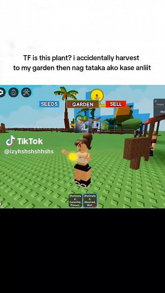 Accidental Harvests: Funny Moments in Gardening