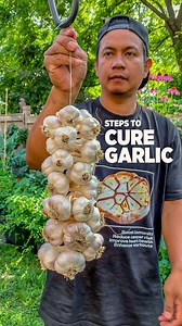 160K views · 7.9K reactions | Curing garlic is an important step to preserve the garlic for long-term storage and deepens its flavor. #fbreels #garlic #howto #gardening101 #gardeningtips #gardening | Plantedinthegarden | Facebook