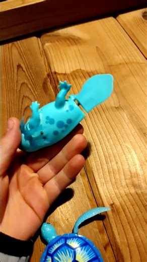 robo axolotl turtle and fish