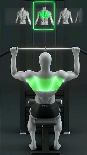 top 5 back exercises for beginners blew up your back