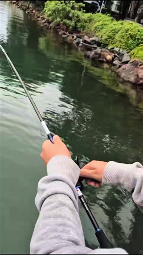 Exploring the Dream Fish of Noosa: Cale Cale Fishing