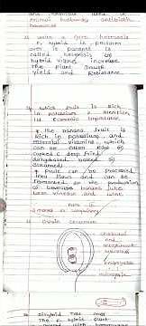 12th std Botany Half yearly Exam December-2025 tomorrow Exam original Question paper 12th Botany-2