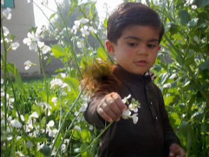 mashallah songs salman khan