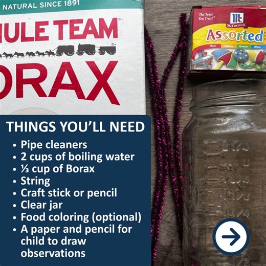 Using borax and boiling water, adults can safely set up the experiment while children observe how the crystals form, grow, and change over time. It’s a fun way to build curiosity, early science skills, and rich conversations about “what do you notice?” and “what is changing?” ❄️ #FunFriday #UPK | California's Universal PreKindergarten | Facebook